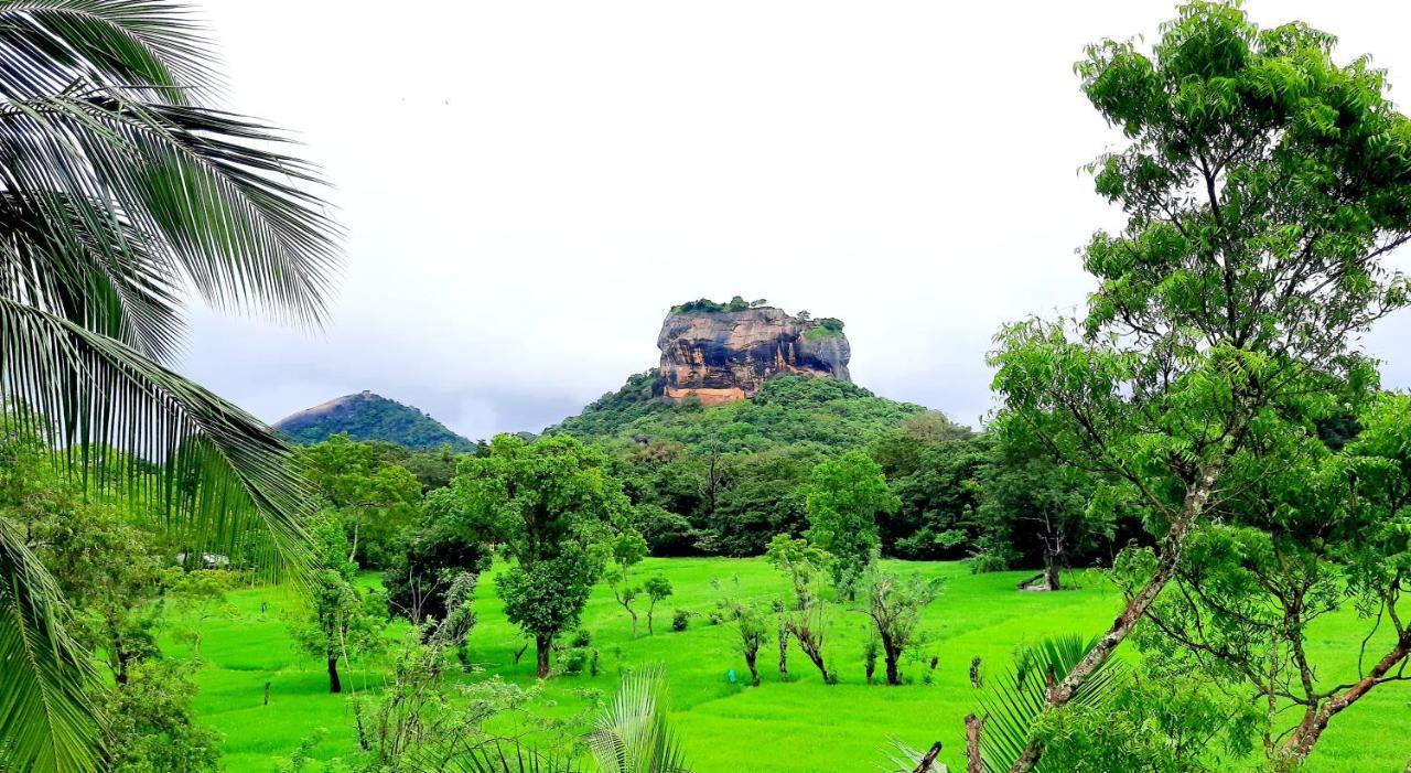Lakmini Lodge Σιγκιρίγια Εξωτερικό φωτογραφία